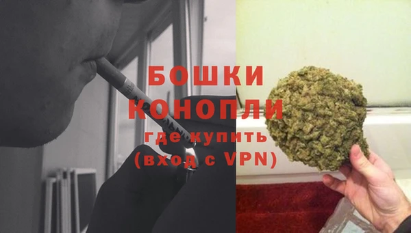 spice Абаза