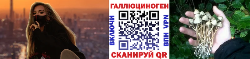 Галлюциногенные грибы GOLDEN TEACHER  Шадринск 