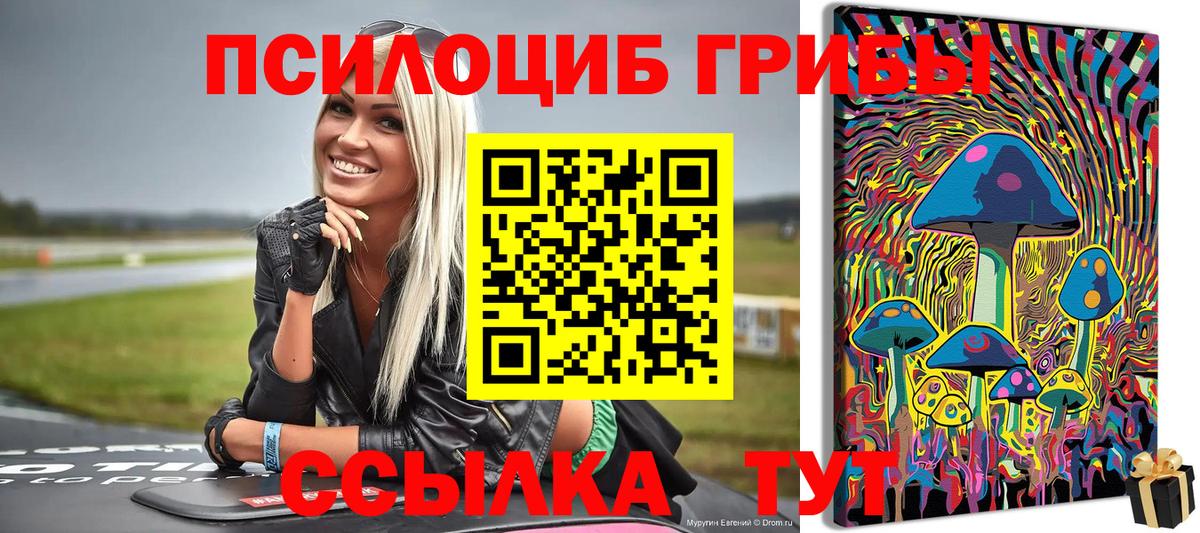 Псилоцибиновые грибы мицелий Шадринск