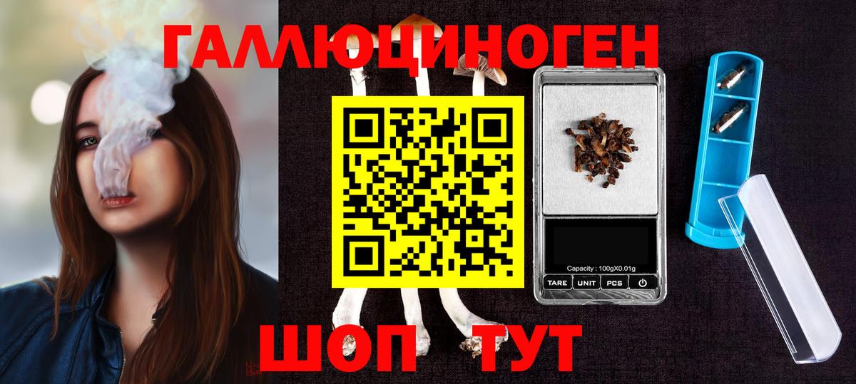 Шадринск  Галлюциногенные грибы MAGIC MUSHROOMS  Вход с VPN  Галлюциногенные грибы MAGIC MUSHROOMS 